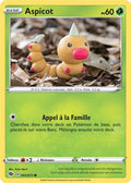 002 - Aspicot
