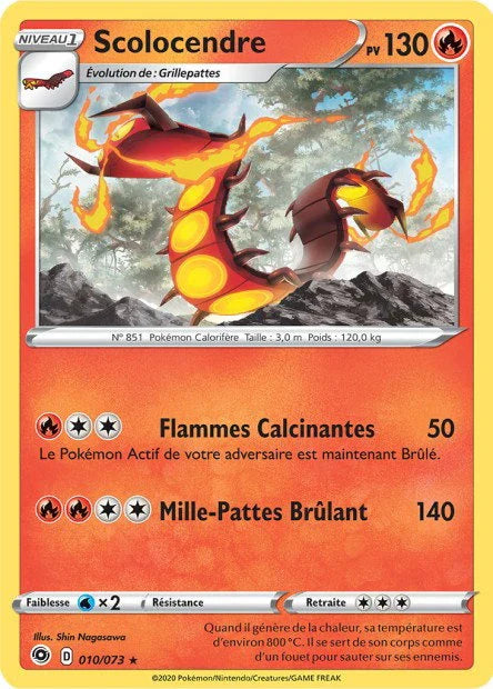 010 - Scolocendre