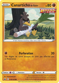 078 - Canarticho_de_Galar