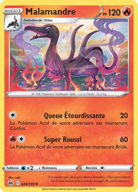 028 - Malamandre