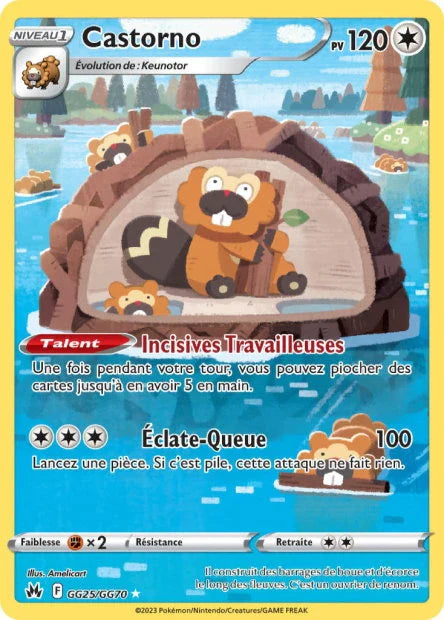 GG25 - Castorno