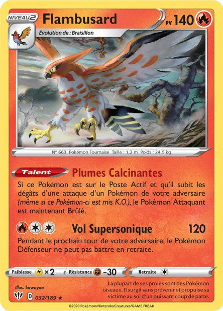 032 - Flambusard