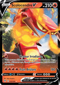 033 - Scolocendre-V