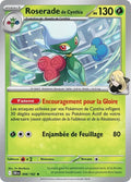 008 - Roserade de Cynthia