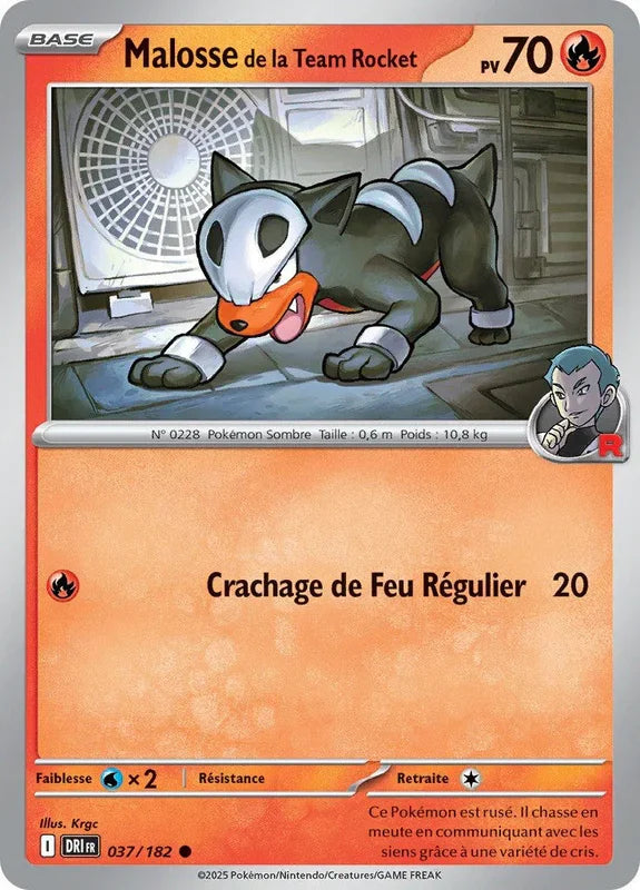 037 - Malosse de la Team Rocket