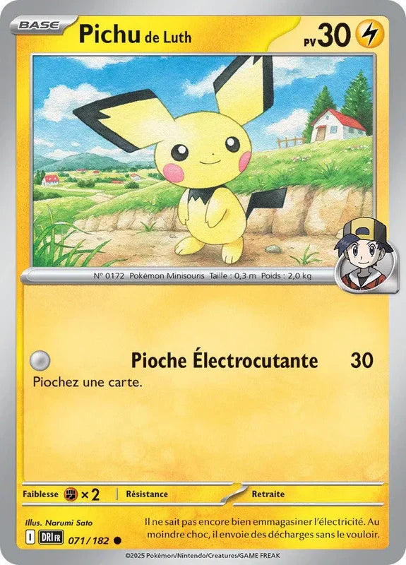 071 - Pichu de Luth