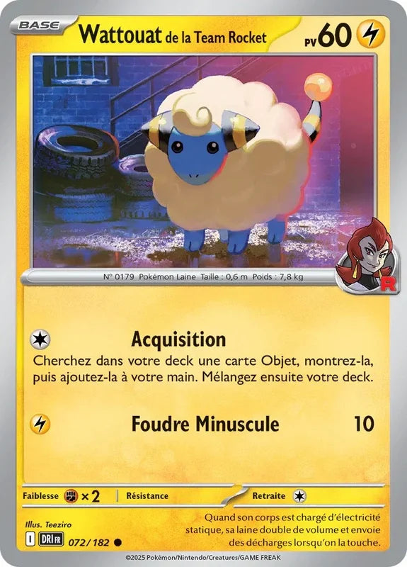 072 - Wattouat de la Team Rocket