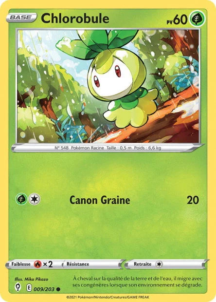 009 - Chlorobule