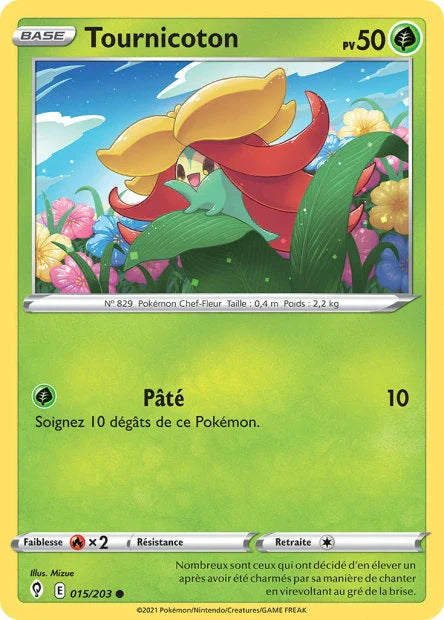 015 - Tournicoton