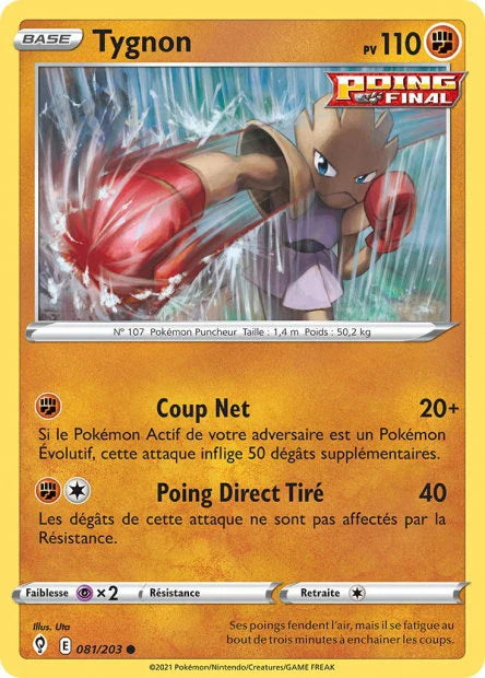 081 - Tygnon