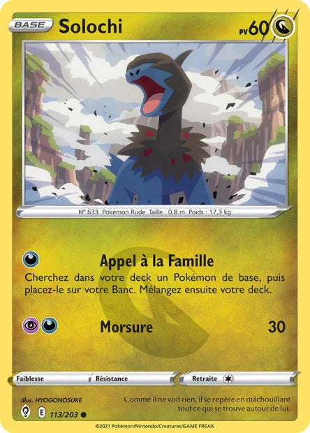 113 - Solochi