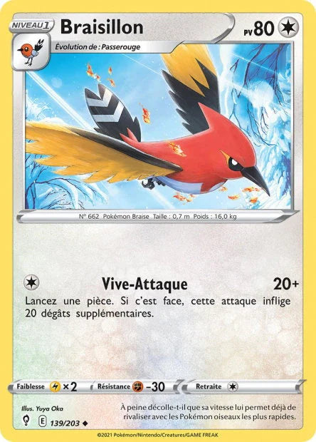 139 - Braisillon