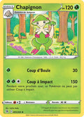 005 - Chapignon