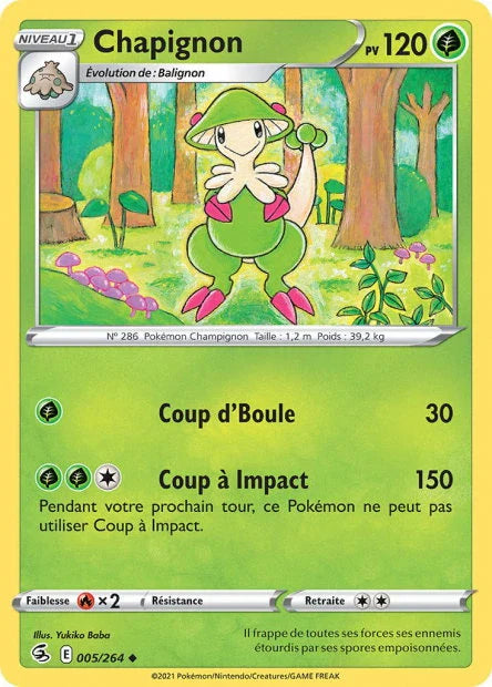 005 - Chapignon