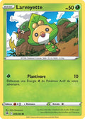 009 - Larveyette
