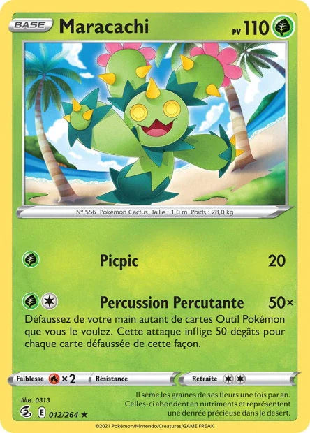 012 - Maracachi