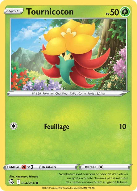 024 - Tournicoton