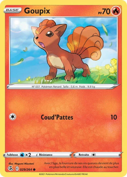 029 - Goupix