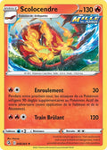 048 - Scolocendre