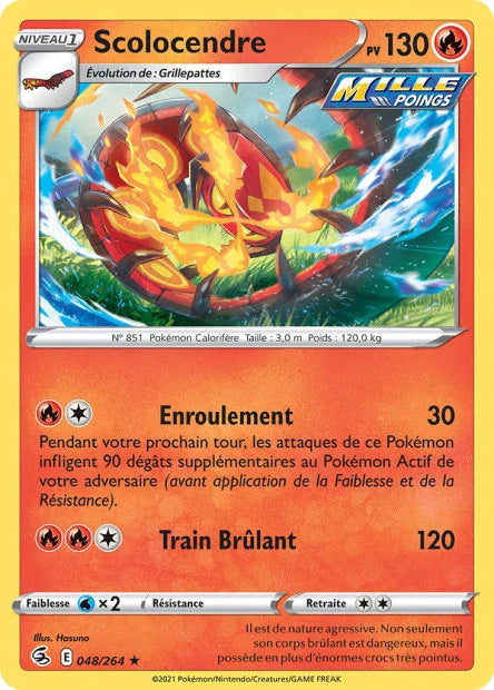 048 - Scolocendre