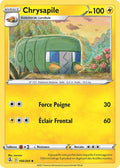 100 - Chrysapile