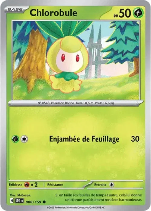 006 - Chlorobule