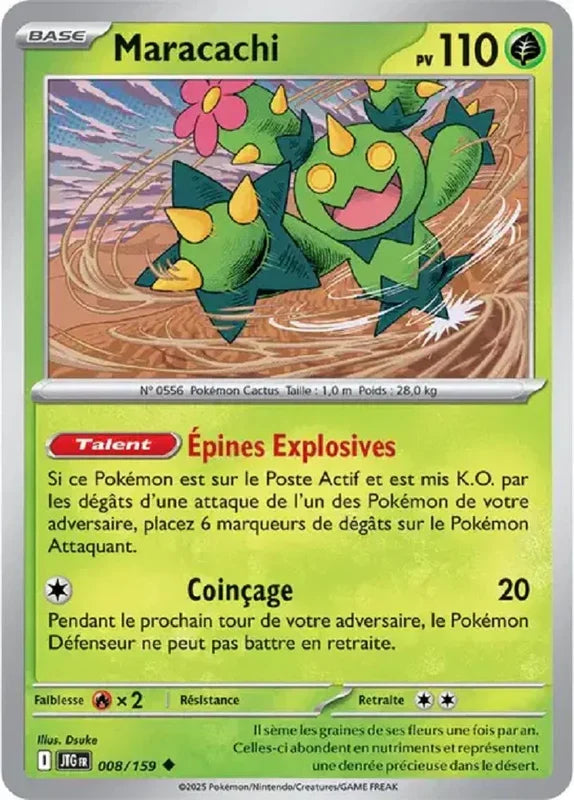 008 - Maracachi