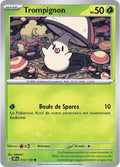 010 - Trompignon