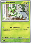 016 - Poussacha