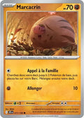 077 - Marcacrin