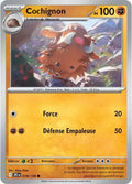 078 - Cochignon