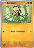 088 - Terracool