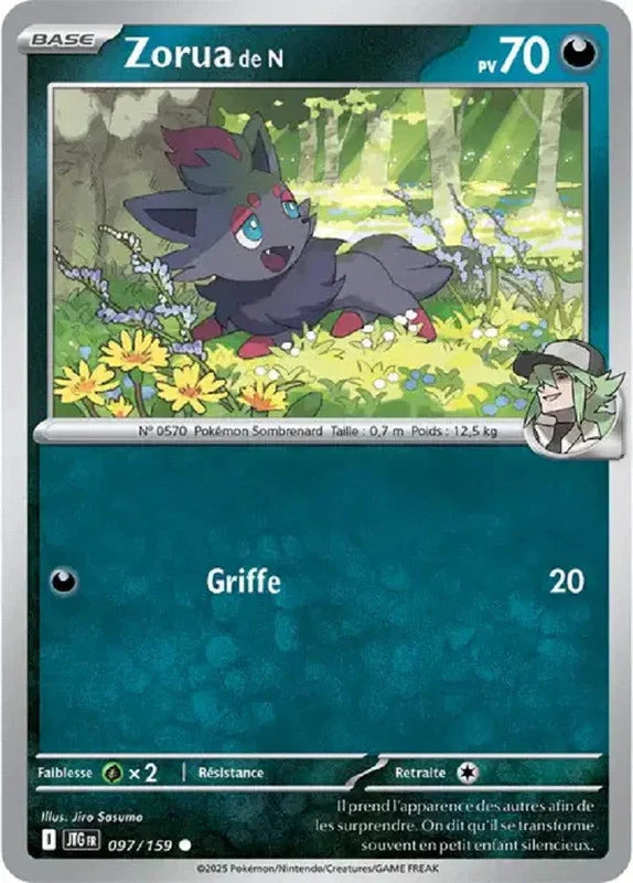 097 - Zorua de N