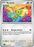 122 - Kecleon