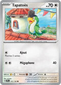 141 - Tapatoès