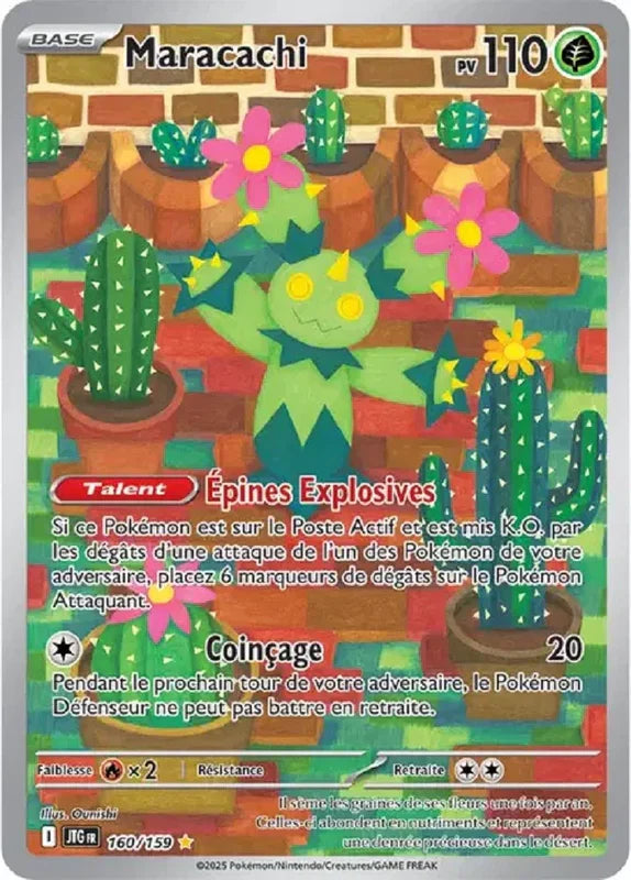 160 - Maracachi
