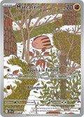 165 - Marcacrin