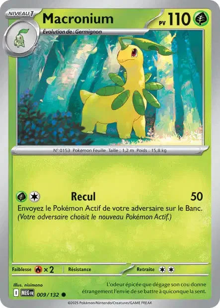 009 - Macronium