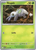016 - Ningale