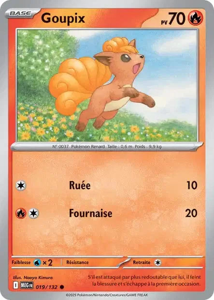 019 - Goupix