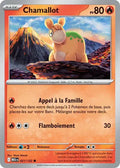 021 - Chamallot