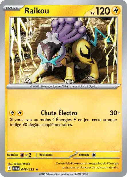 048 - Raikou