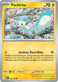 051 - Pachirisu
