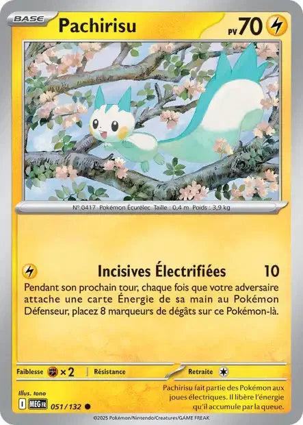 051 - Pachirisu