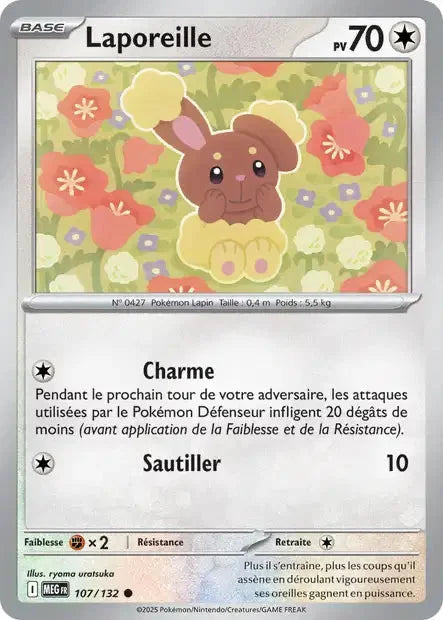 107 - Laporeille