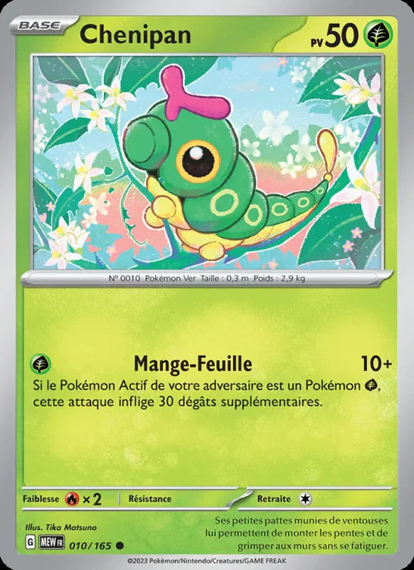 010 - Chenipan