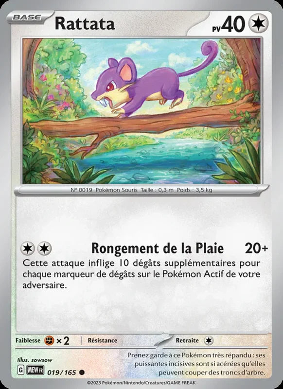 019 - Rattata