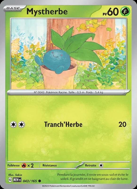 043 - Mystherbe