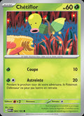 069 - Chétiflor