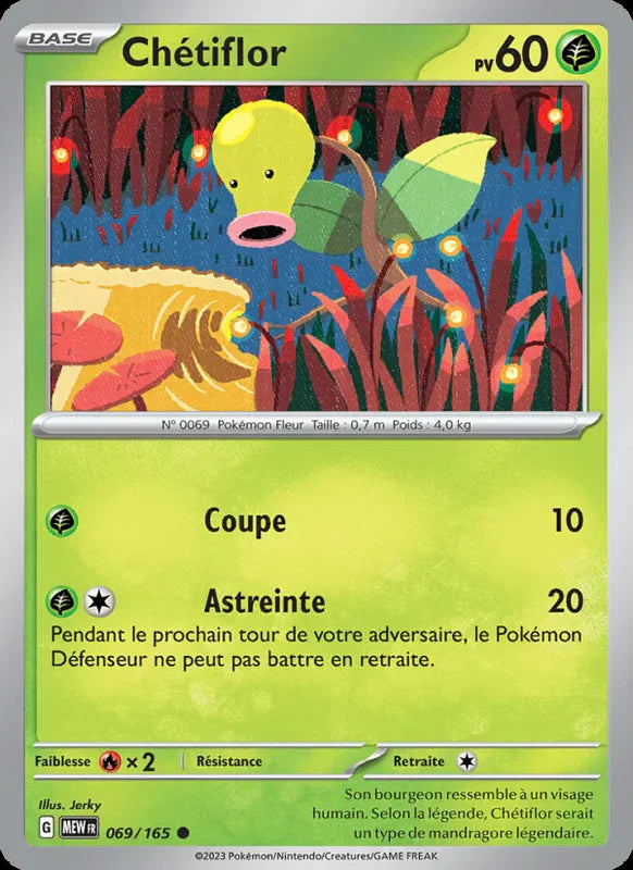 069 - Chétiflor